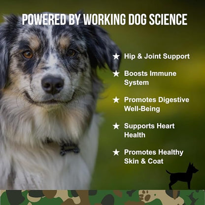 Operation Good Boy - SRE: Multi Function Supplement for Pets - 90 Count Soft Chews - 12.7 oz - Made Natural Ingredients - Veteran Owned