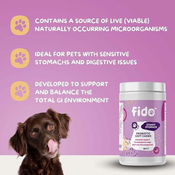 Fido Steady Stomach Probiotic Soft Chews, Chicken Flavor, 60 Chews | Organic Digestive Supplements | Supports Gut Health & Sensitive Stomachs | Veterinarian Approved for All Life Stages