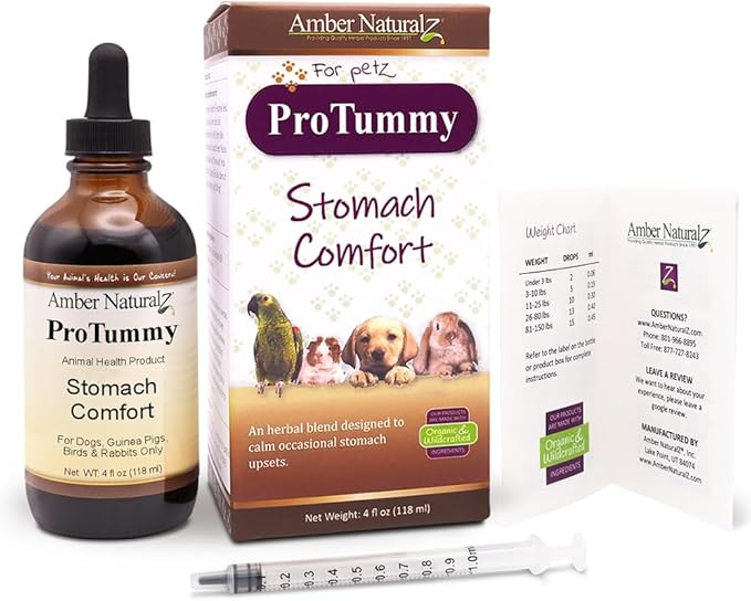 Amber NaturalZ ProTummy Stomach Comfort Herbal Blend for Dogs, Bird, Guinea Pigs, and Rabbits | Herbal Supplement for Occasional Upset Stomach | 4 Fluid Ounce Glass Bottle | Manufactured in The USA