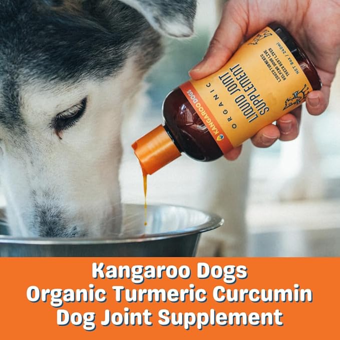 Organic Turmeric Curcumin Dog Joint Supplement - Liquid for Faster and Better Absorption Natural Dog Joint Supplement Liquid (8 oz)