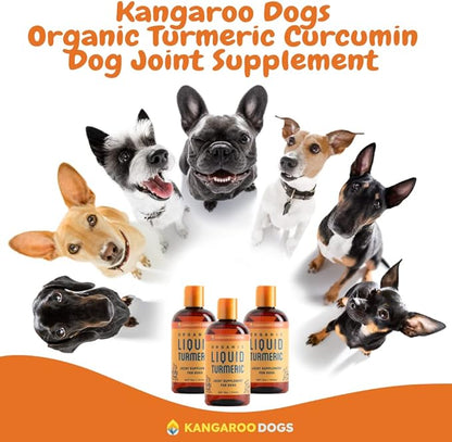 Organic Turmeric Curcumin Dog Joint Supplement - Liquid for Faster and Better Absorption Natural Dog Joint Supplement Liquid (8 oz)