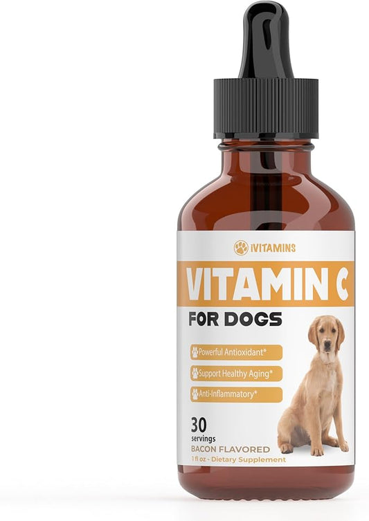 Vitamin C for Dogs | Helps with Improving Immune Health | Vitamin C for Dogs Liquid | Dog Immune Support | Dog Immune and Allergy Supplement | Dog Immune Booster | 1 oz Bacon Flavor