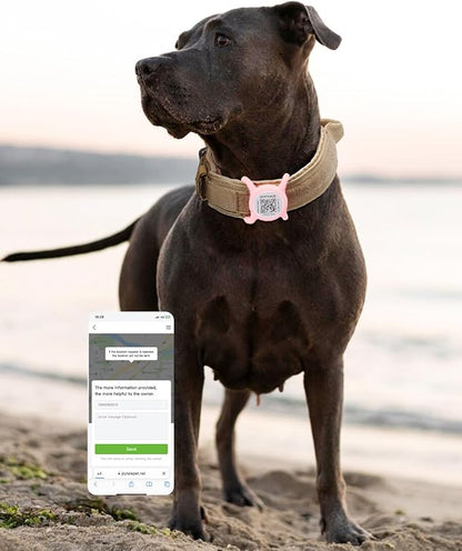Joytale [ NO APP Required ] Silent Silicone QR Code Dog Tag, Slide On Dog Tags for 1.2-1.6Inch Wide Collars or Vest, NFC Pet Online Profile, Scan QR to Send Location Alert Email, Pink, L