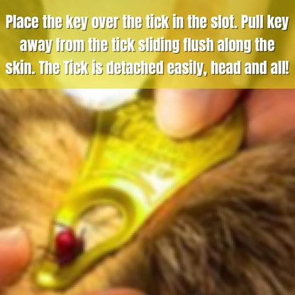The Original Tick Key -Tick Detaching Device - Portable, Safe and Highly Effective High Visibility Tick Detaching Tool (Pink) with Stops the Sting - Extra Strength Bug and Mosquito Bit Relief
