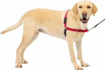 PetSafe Easy Walk No-Pull Dog Harness - The Ultimate Harness to Help Stop Pulling - Take Control & Teach Better Leash Manners - Helps Prevent Pets Pulling on Walks - Large, Red/Black