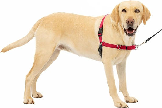 PetSafe Easy Walk No-Pull Dog Harness - The Ultimate Harness to Help Stop Pulling - Take Control & Teach Better Leash Manners - Helps Prevent Pets Pulling on Walks - Large, Red/Black