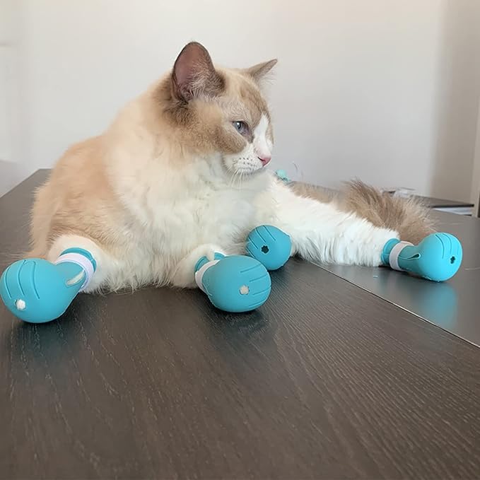 Cat Muzzle for Grooming,Bubble Muzzle and Boots for Nail Trimming,Cat Grooming Mask with Anti Bite,Cat Astronaut Helmet,Cat Breathable Muzzle and Silicone Paw Covers