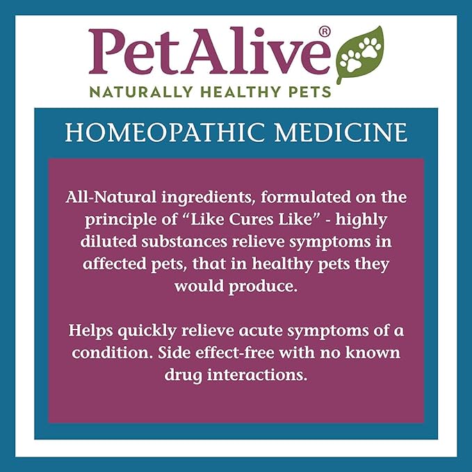 PetAlive ComfyPet Pain Relief - Natural Homeopathic Formula for Minor Aches and Pains in Dogs and Cats - Temporarily Reduces Minor Discomfort in The Muscles and Joints - 59 mL