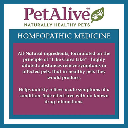 PetAlive ComfyPet Pain Relief - Natural Homeopathic Formula for Minor Aches and Pains in Dogs and Cats - Temporarily Reduces Minor Discomfort in The Muscles and Joints - 59 mL
