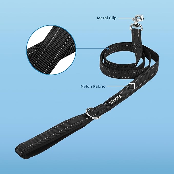 Voyager Reflective Dog Leash with Neoprene Handle, 5ft Long, Supports Small, Medium, and Large Breed Puppies, Cute and Heavy Duty for Walking, Running, and Training - Black (Leash), M