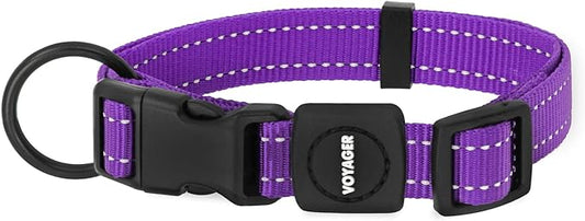 Best Pet Supplies Reflective Dog Collar with Adjustable Length, Heavy-Duty Buckle, and Strong Leash D-Ring, Training, Walking, Jogging Accessory for Small, Medium, and Large Breeds - Purple, S
