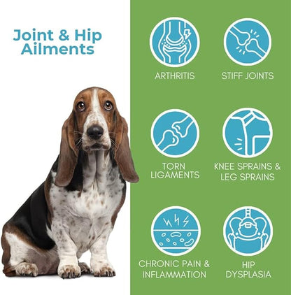 BestLife4Pets Extra Strength Dog Joint Supplement - Natural Hip and Joint Supplement for Dogs - Arthritis, Inflammation, and Hip Dysplasia Pain Relief for Dogs - Easy to Use Natural Pills