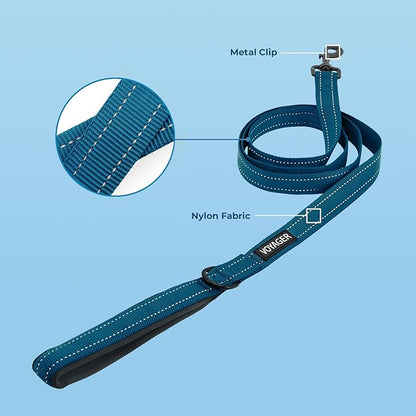 Voyager Reflective Dog Leash Collar Set with Neoprene Handle Supports Small, Medium, and Large Breed Puppies, Cute and Heavy Duty for Walking, Running, and Training - Blue, L