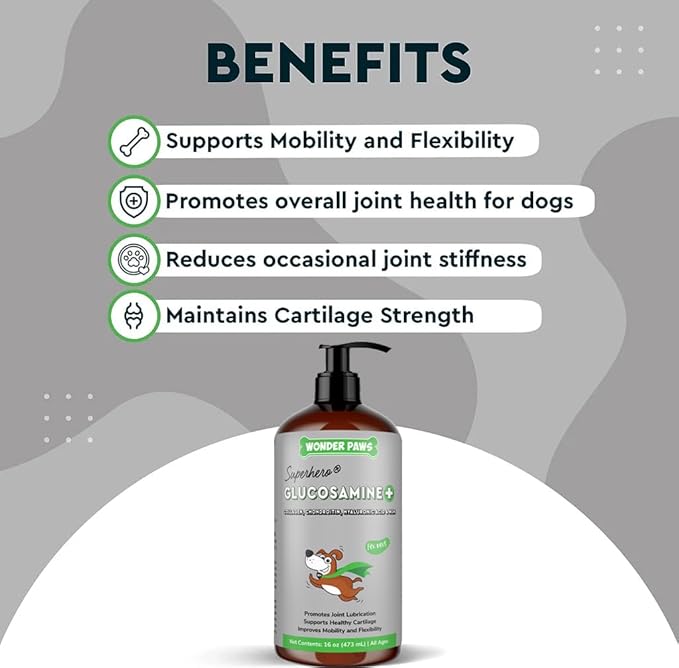 Premium Liquid Glucosamine for Dogs Strength Joint Support, Flexibility, Cartilage & Mobility - Hip and Joint Supplement with Chondroitin, MSM, Collagen & Hyaluronic Acid (16 Oz)