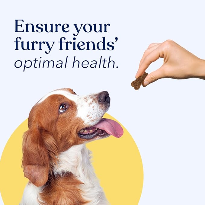 Honest Paws Dog Multivitamin Soft Chews - Joint Flexibility Mobility Support - Soft Shiny Healthy Coat - Immune, Eye, Heart Support - Glucosamine & Chondroitin, Omega-3 Fatty Acids - Beef Flavor