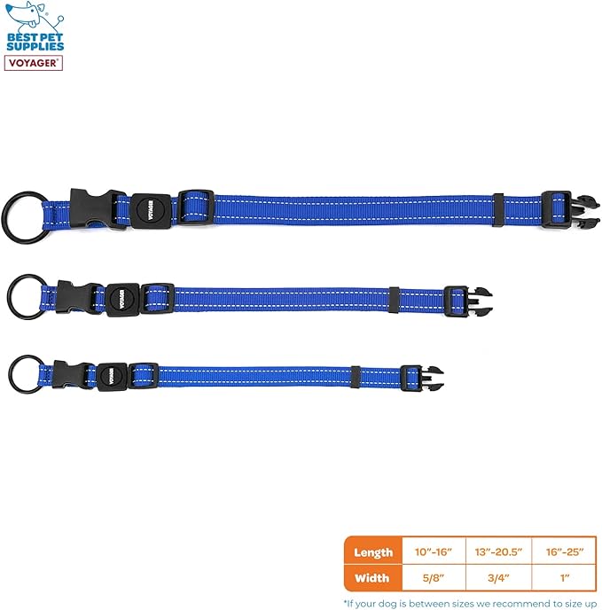 Best Pet Supplies Reflective Dog Collar with Adjustable Length, Heavy-Duty Buckle, and Strong Leash D-Ring, Training, Walking, Jogging Accessory for Small, Medium, and Large Breeds - Royal Blue, S