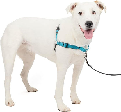 PetSafe Easy Walk Deluxe Dog Harness, No Pull Dog Harness – Perfect for Leash & Harness Training – Stops Pets from Pulling and Choking on Walks – Medium/Large, Ocean