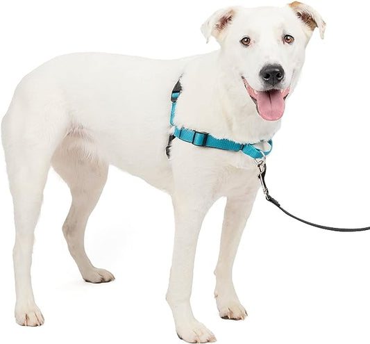 PetSafe Easy Walk Deluxe Dog Harness, No Pull Dog Harness – Perfect for Leash & Harness Training – Stops Pets from Pulling and Choking on Walks – Medium/Large, Ocean