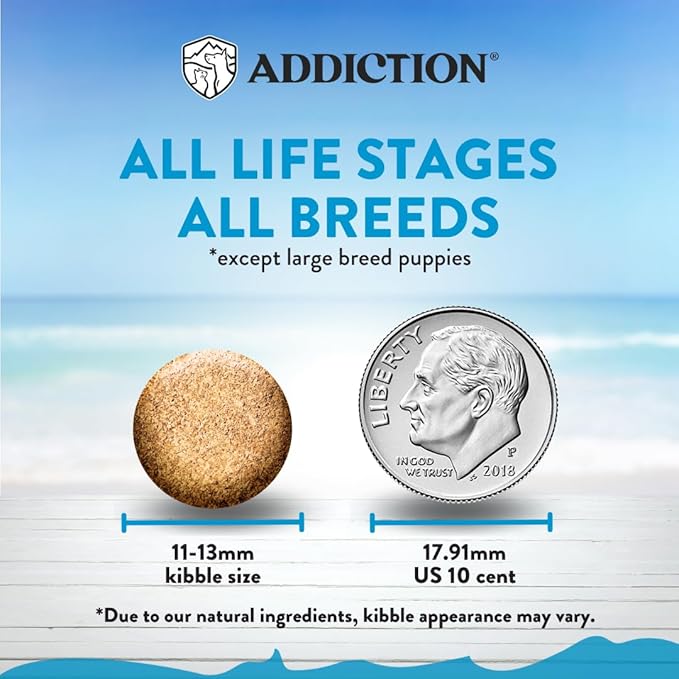 Addiction Salmon Bleu Dog - Dry Dog Food - Complete and Balanced Diet - Skin and Coat Health Dog Formula - Features Premium King Salmon - 4 lb