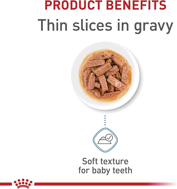 Royal Canin Size Health Nutrition Large Puppy Dry Dog Food, 17 lb Bag Size Health Nutrition Large Puppy Thin Slices in Gravy Wet Dog Food, 13 oz can (12-Count)