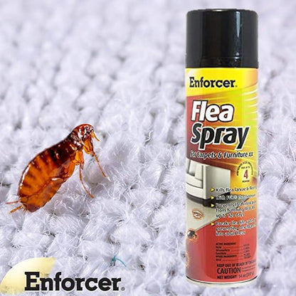 Enforcer Flea Spray for Carpets and Furniture - 14 Ounce (Case of 12) ENFS14 - Prevents Fleas for Up to 4 Months