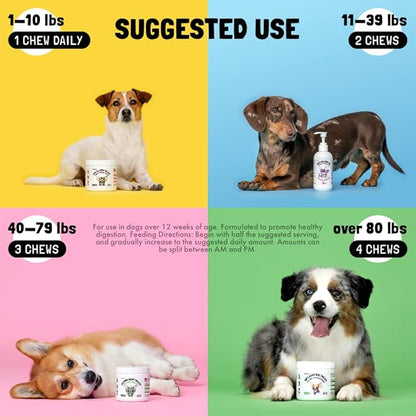 Allergy Relief Chews for Dogs & Immune & Digestive Supplement with Wild Salmon Oil Kelp Colostrum Turmeric Probiotics & Bee Pollen for Seasonal Allergies Anti Itch, Skin Hot Spots Soft Treats