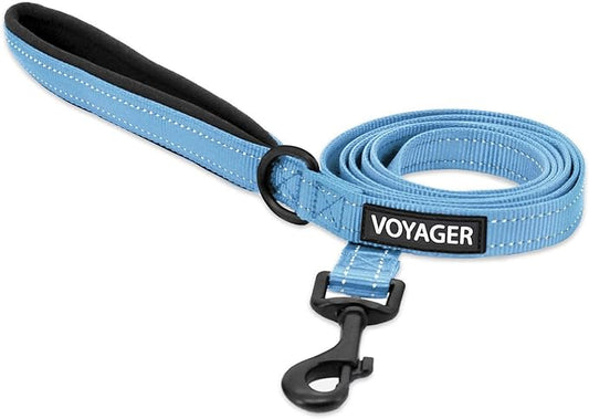 Voyager Reflective Dog Leash with Neoprene Handle, 6ft Long, Supports Small, Medium, and Large Breed Puppies, Cute and Heavy Duty for Walking, Running, and Training - Baby Blue, L