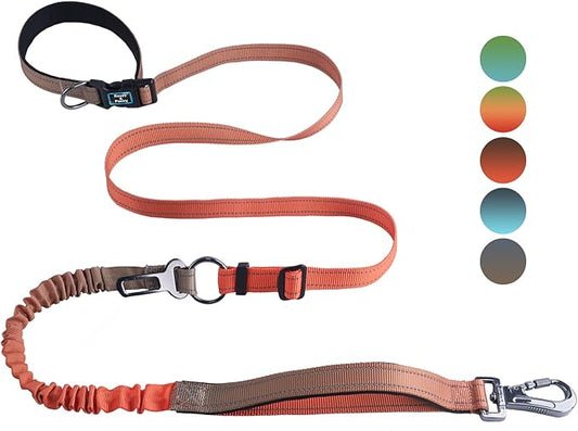 Roses&Poetry Dog Running Leash Hands Free,No Pull Bungee Dog Running Waist Leash for Walking Training with Car Seatbelt 4-6FT