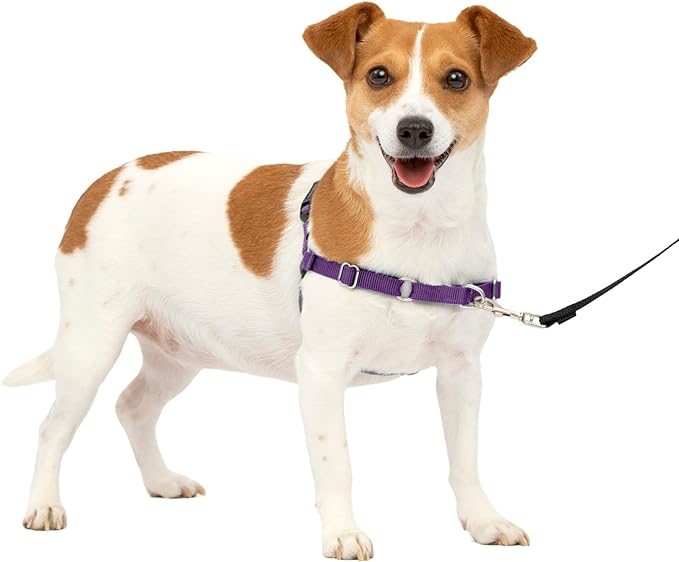 PetSafe Easy Walk Dog Harness - No Pull Dog Harness - Small, Deep Purple