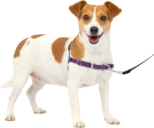 PetSafe Easy Walk Dog Harness - No Pull Dog Harness - Small, Deep Purple