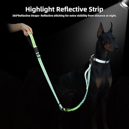 Roses&Poetry Dog Leashes for Large Dogs Heavy Duty,No Pull Bungee Dog Running Waist Leash for Walking Training with Car Seatbelt 4-6FT
