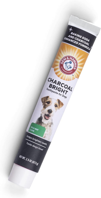 Arm & Hammer Charcoal Bright Toothpaste for Dogs, Charcoal | Pet-Safe, Natural Dog Toothpaste & Breath Freshener with Charcoal & Enzymes | 2.5oz Canine Teeth Cleaning Paste Arm & Hammer