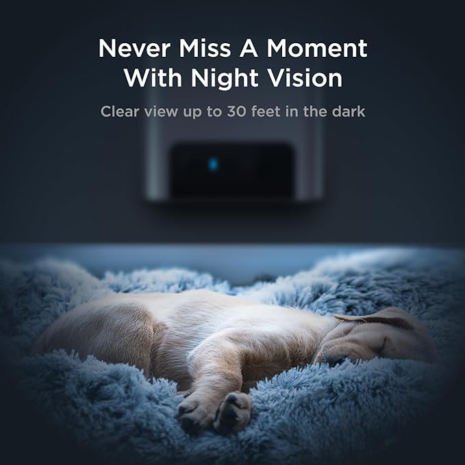 Petcube Bites 2 Lite Interactive WiFi Pet Monitoring Camera with Phone App and Treat Dispenser, 1080p HD Video, Night Vision, Two-Way Audio, Sound and Motion Alerts, Cat and Dog Monitor