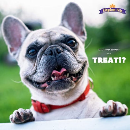 Duck Breast Jerky, Premium Treats for Dogs, 40 oz. Bag