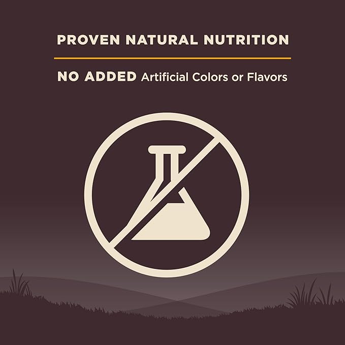 Wellness Natural Pet Food CORE Grain-Free High-Protein Small Breed Dry Dog Food, Natural Ingredients, Made in USA with Real Meat (Puppy ,Turkey, 12-Pound Bag)