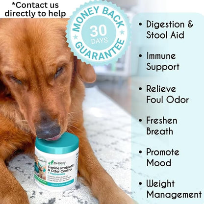 Balanced Breed Dog Probiotics Digestive Health Odor Control Made In USA Non-GMO Vet-Pharmacist Approved Dog Probiotic Chews Anti-diarrhea Dog Gut Health Pet Probiotics Dogs Itchy Skin Yeast Supplement