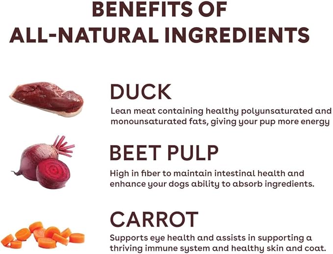 Pupford Freeze Dried Training Treats for Dogs & Puppies, 240+ Four Ingredient Bites (Duck & Veggies, 5 oz)
