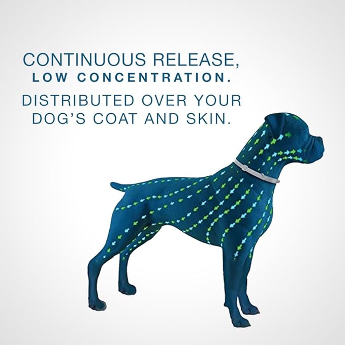 Seresto 8-Month Flea & Tick Prevention Collar for Small Dogs Up to 18 lbs Plus FitBark GPS Dog Tracker | Buy Together and Get Free 1-Year GPS Subscription ($255.33 Value)