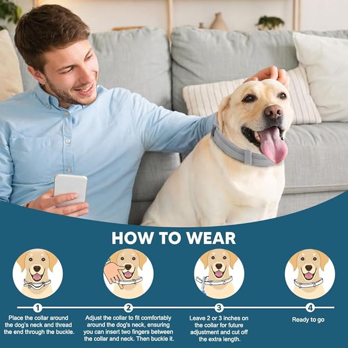 Dog Flea Tick Collar, Flea & Tick Prevention for Dogs, 8 Months Protection Dog Flea Collar, Adjustable Collar Fits Large Dogs & Puppies, Flea Treatment Collar for Dogs 2 Pack