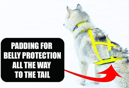 Neewa Sled Pro Harness (XX-Large, Yellow), Dog Pulling Harness, Husky Harness, Mushing Harness, X Back Harness Dog for Dog Exercise, Bikejoring, Skijoring, Dog Sledding, Canicross, Dog Harness