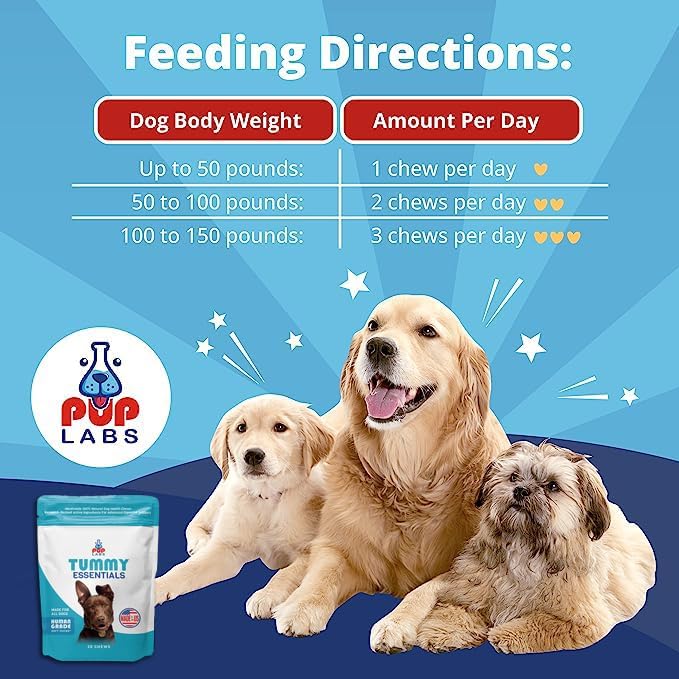 Tummy Essentials Probiotics for Dogs - Eliminate Digestive Dysfunction - Supports Gut Health - Dog Probiotics Support a Happy and Active Life - Made for All Dogs and in The USA, 30 Chews