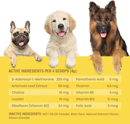 Same for Dogs - S-Adenosyl-L-Methionine, Same Advanced, Liver Support Supplement for Dogs, Brain and Cognitive Support, Sam e for Dogs (120 Grams)