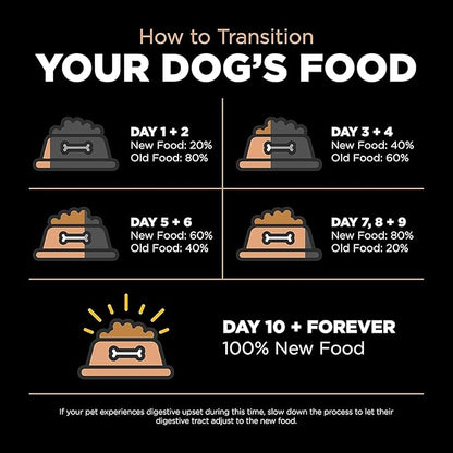 GO! SOLUTIONS Digestion + Gut Health Salmon Recipe with Ancient Grains for Dogs, 22 lb Bag - Dry Food for All Life Stages, Including Puppies, Adult and Senior Dogs