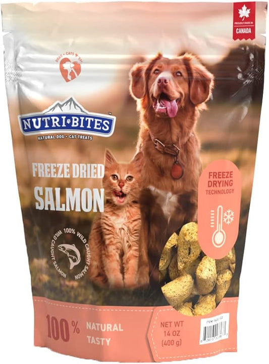 Nutri Bites Freeze Dried Salmon Dog & Cat Treats | Healthy Pet Training Treats or Food Topper | All Natural, 1 Single Animal Protein, High Protein | Premium Bulk Value Pack, 14 oz