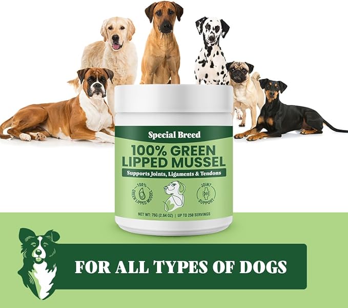 Green Lipped Mussels for Dogs & Cats - Premium Joint Supplement Powder for HIPS, Joints, and Muscles (75 Grams, Up to 250 Servings)