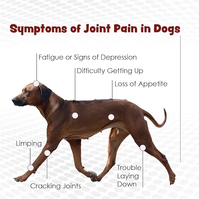 Double Strength Chewable Tablets for Dogs, Glucosamine, Chondroitin, Vitamins & Antioxidants, Hip & Joint Pain Relief & Support Supplement - Veterinarian Formulated, Made in USA, 120 Tablets