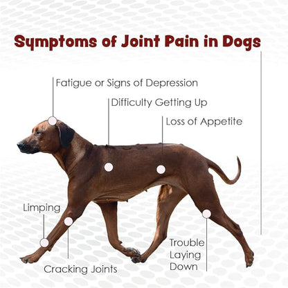 Double Strength Chewable Tablets for Dogs, Glucosamine, Chondroitin, Vitamins & Antioxidants, Hip & Joint Pain Relief & Support Supplement - Veterinarian Formulated, Made in USA, 120 Tablets