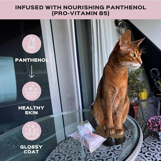 Wet wipes with Panthenol for sphynx and shorthair cats for everyday use (5Pack/75Count)