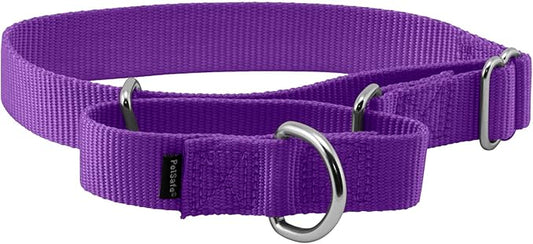 PetSafe Martingale Collar 1" Medium, Deep Purple