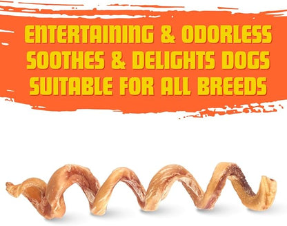 Lara & Olive 7"-9" Bully Stick Springs for Dogs | Rawhide Free | 100% Beef | Single Ingredient Chew Treat Bones | Fully Digestible | Odorless | 5 Pack